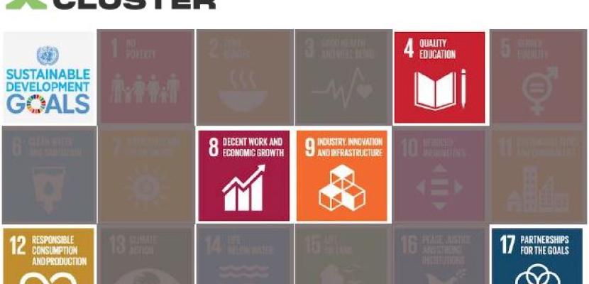 Packaging Cluster SDGs