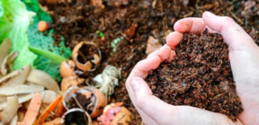 Soil from a home compost