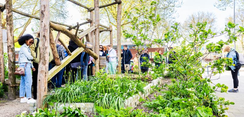 Impression of the Neighbourhood Garden Afrikaanderwijk Rotterdam