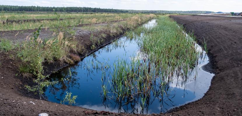 peatland rewetting practice