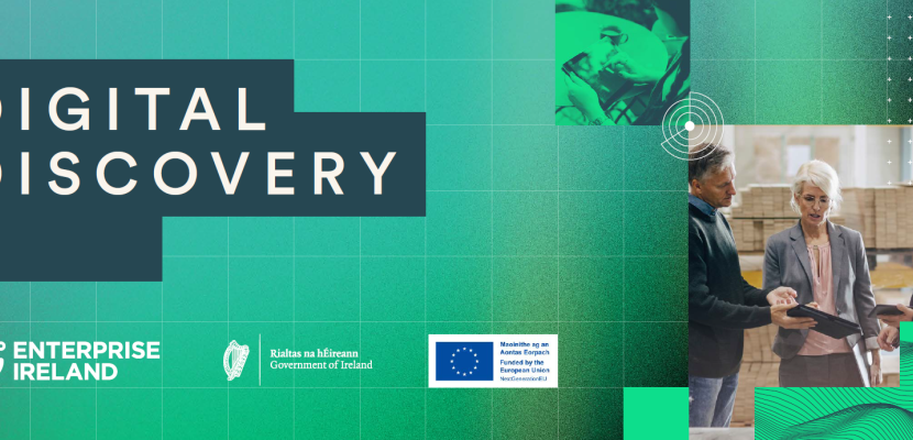 Digital Discovery Programme Enterprise Ireland