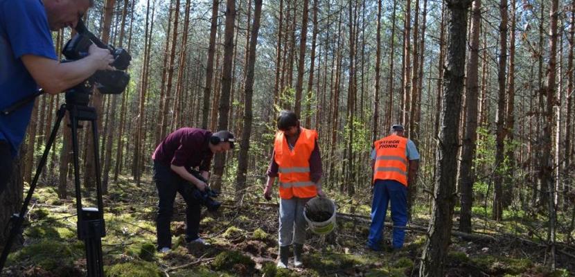 People during the work in the forest Beech underplanting in project of Forest Carbon Farms 