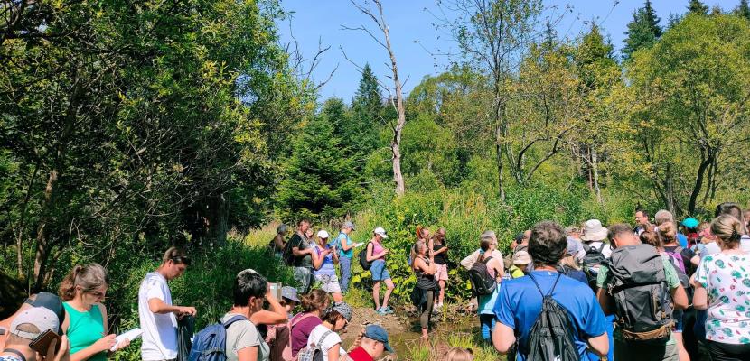 Participants of herbal trip