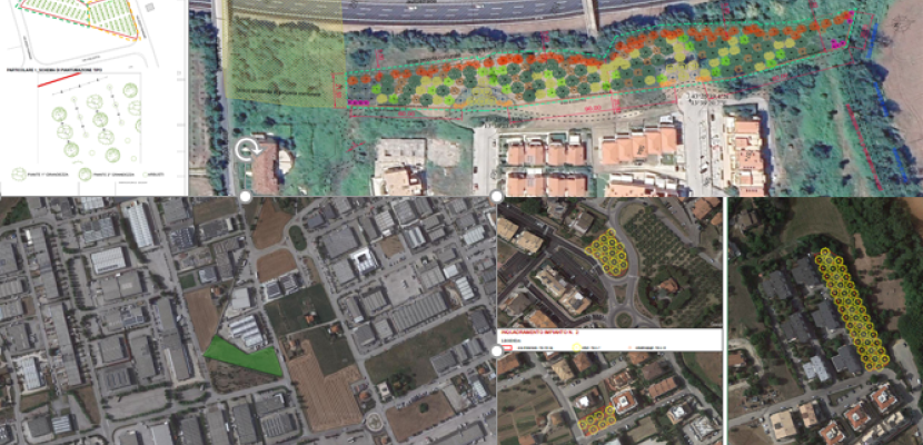 Projects of urban woods and micro-forestry