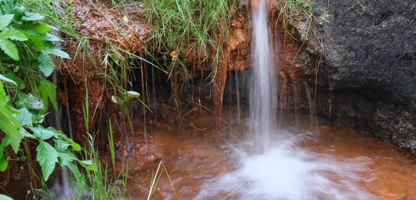 spring outflow