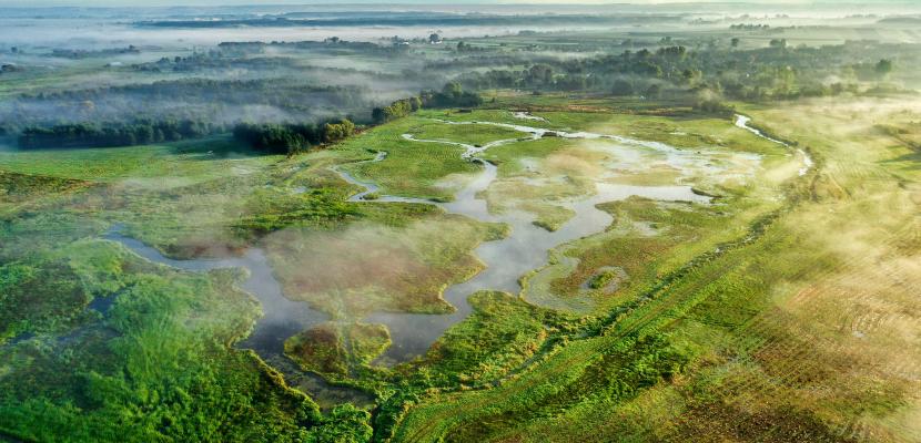 Floodplains