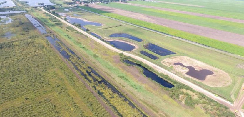 The buffer Noordoost Bargerveen with pilot plan for paludiculture with Reed