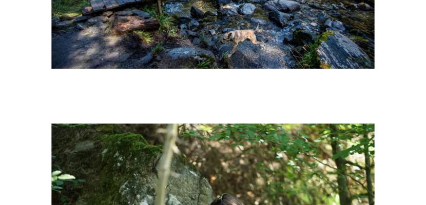 The "Hiking Years" program in the first image, we have a group of tourists in the Fagaras Mountains, in the second image, we have the markings set on the route.