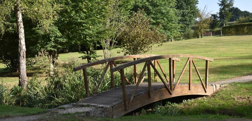 Wooden bridge