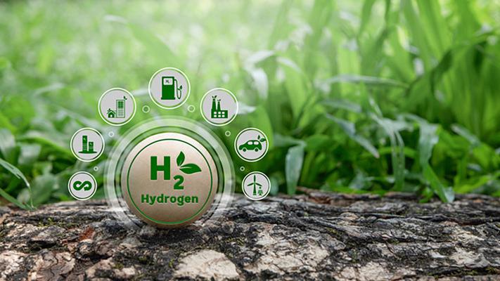 Green Hydrogen ecosystem from production to end users