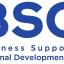 logo of BSC Kranj