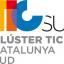 TIC sud logo