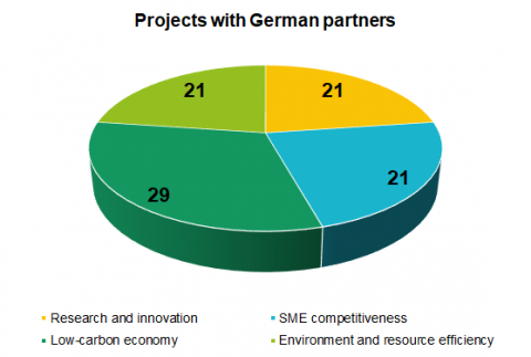 A chart with shares of projects with German partners grouped by topic