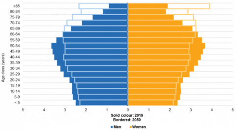 Populationa pyramid in EU-27 in 2019 and 2050 Populationa pyramid in EU-27 in 2019 and 2050