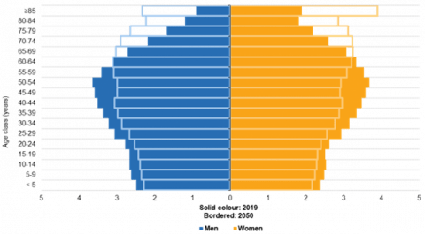 Populationa pyramid in EU-27 in 2019 and 2050