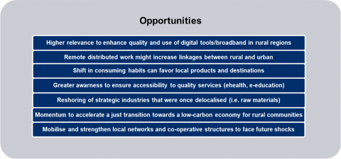 List of opportunities for rural regions emerging with the COVID-19 crisis. Source: OECD. 