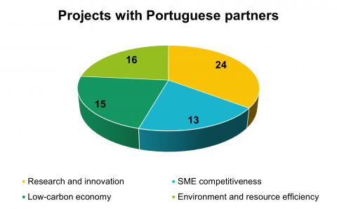 A pie chart presenting Portuguese partners by topics