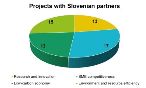A pie chart presenting Slovenian partners by topics