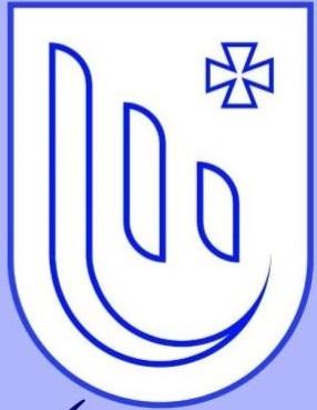 The logo depicts the stylised Ukrainian letter ‘Ш (Sh)’, which symbolises the name of the administrative centre of the community, Shpola. The lower wave symbolises upward movement. In the upper right corner is a Cossack knight's cross as a sign of the region's ancient historical heritage