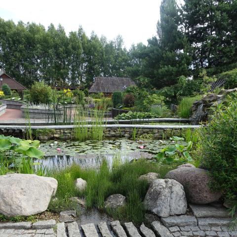 View of the pond