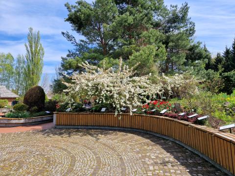 View of the sensory garden