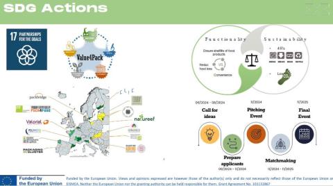 Packaging Cluster SDG 17th