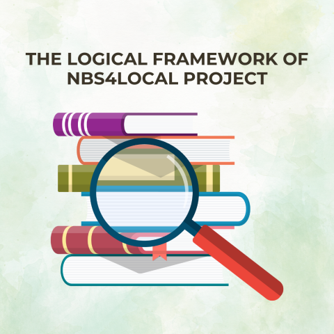 The logical framework of NBS4LOCAL project