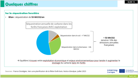 Pie graph about carbon capture in forest in Auvergne-Rhône-Alpes