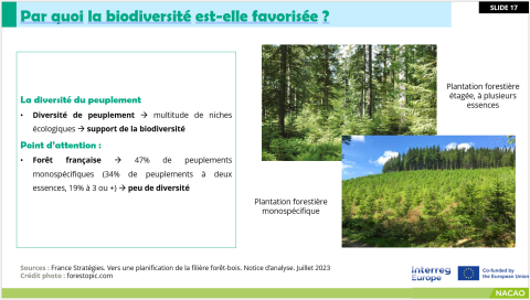 Power Point slide about forest information, France.
