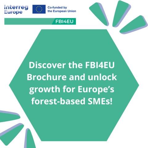 Green, hexagon-shaped graphic displaying Interreg Europe and EU co-funding logos along with the text: ‘Discover the FBI4EU Brochure and unlock growth for Europe’s forest-based SMEs!