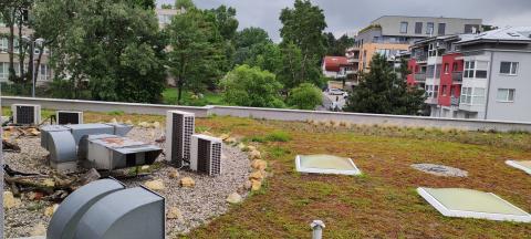 Green roof promoting biodiversity