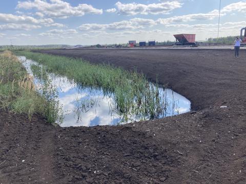 Viewing the Kaigu Bog reclamation methods