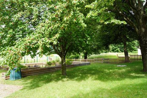 Pedagogical garden