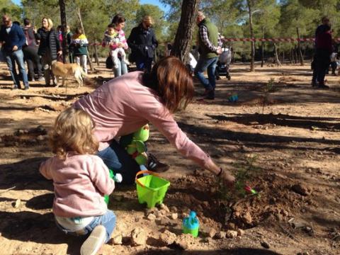 Families planting trees in the forest for health