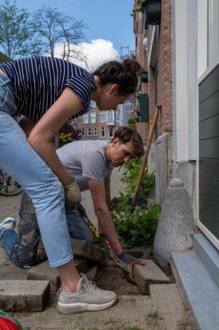 two people depaving and greening a street