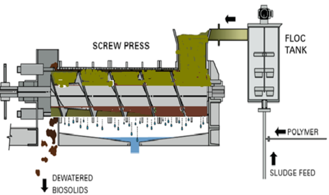 A screw press dewaters sludge from a floc tank using polymer, producing dewatered biosolids.