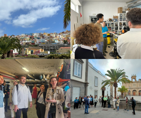 Study visits in Las Palmas