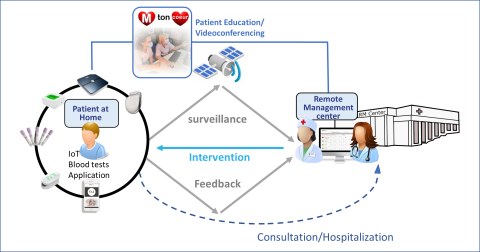 Remote monitoring network of the Bordeaux University Hospital