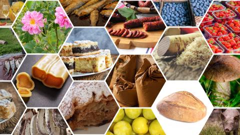 SMEs & European Original Geographical Indications SMEs & European Original Geographical Indications