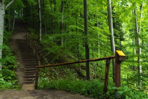 Trail to the top of Jeleniowaty (Bieszczady Mountains) with TOTUPOINT marker