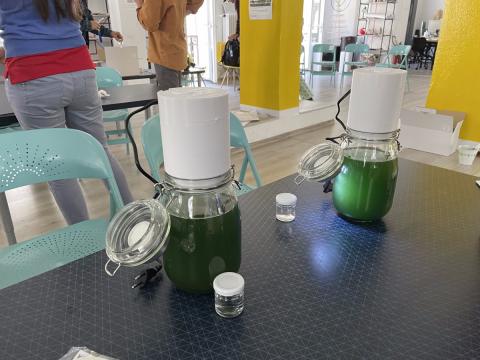 Portable micro-algae bioreactor project supported by the VISIONERS Academy