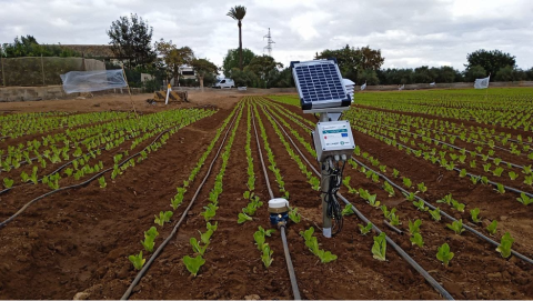 Water irrigation system