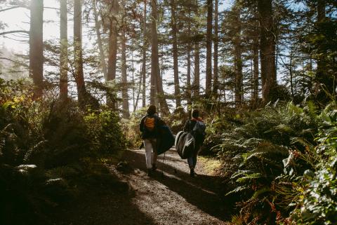 Two hikers walking through a sunlit forest path, surrounded by tall trees and lush greenery.