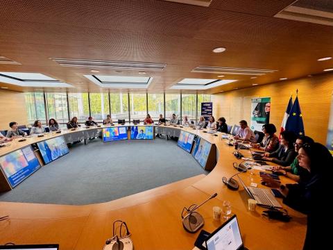 Partners, stakeholders and representatives from Grand Est region sitting around a round table.