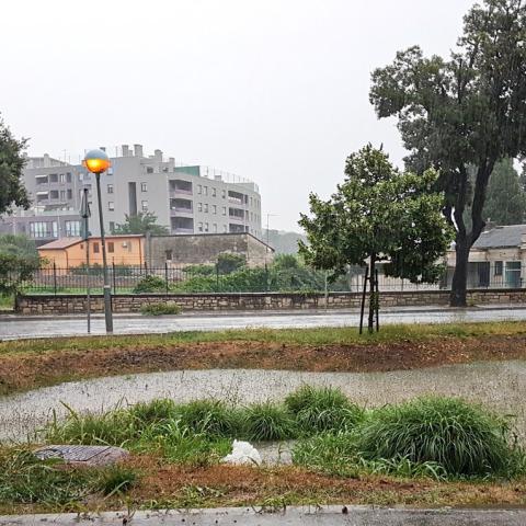 View of the rain garden in Pula