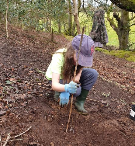 Girl planting a tree