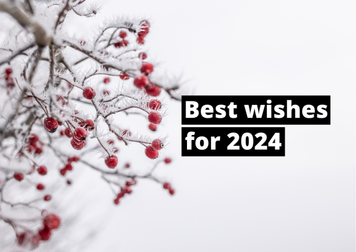 snowy branches with red berries and text saying best wishes for 2024