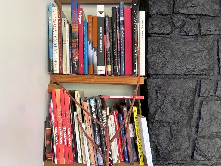 Books on a bookshelf