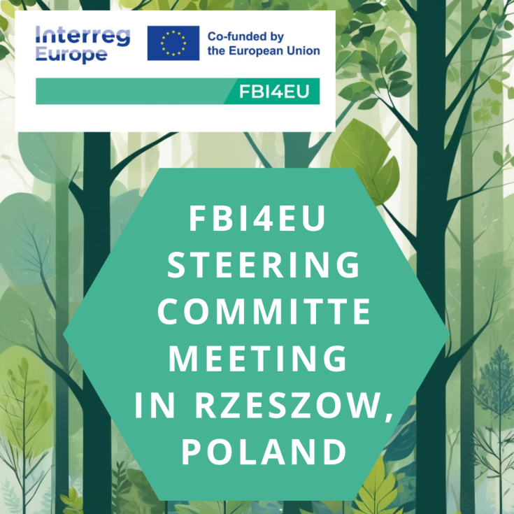 Graphic for the FBI4EU Steering Committee Meeting in Rzeszów, Poland. The design includes a green hexagon with white text overlay and a forest background, accompanied by the Interreg Europe and EU co-funding logos.