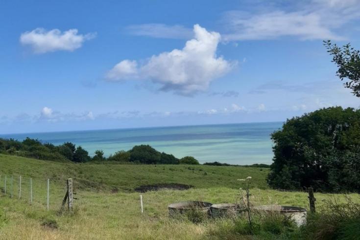 Lush green field with in the background the view of a clear water blue sea